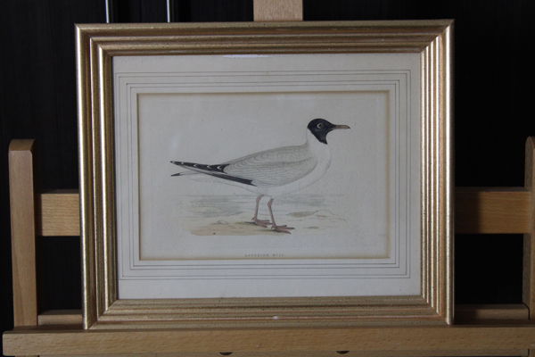 Artist Neil Jansen Online Estate Sale