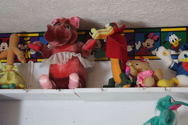 Disney Estate Sale | Savannah