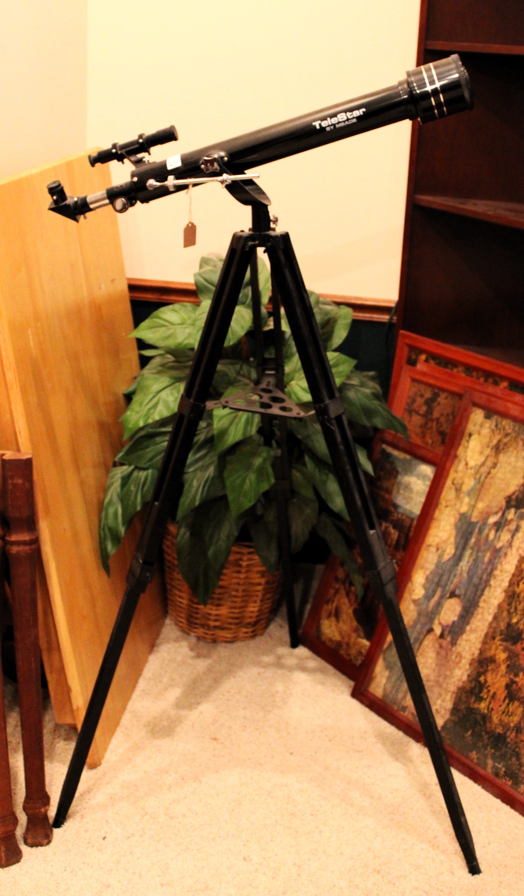 Shore Estate Sale