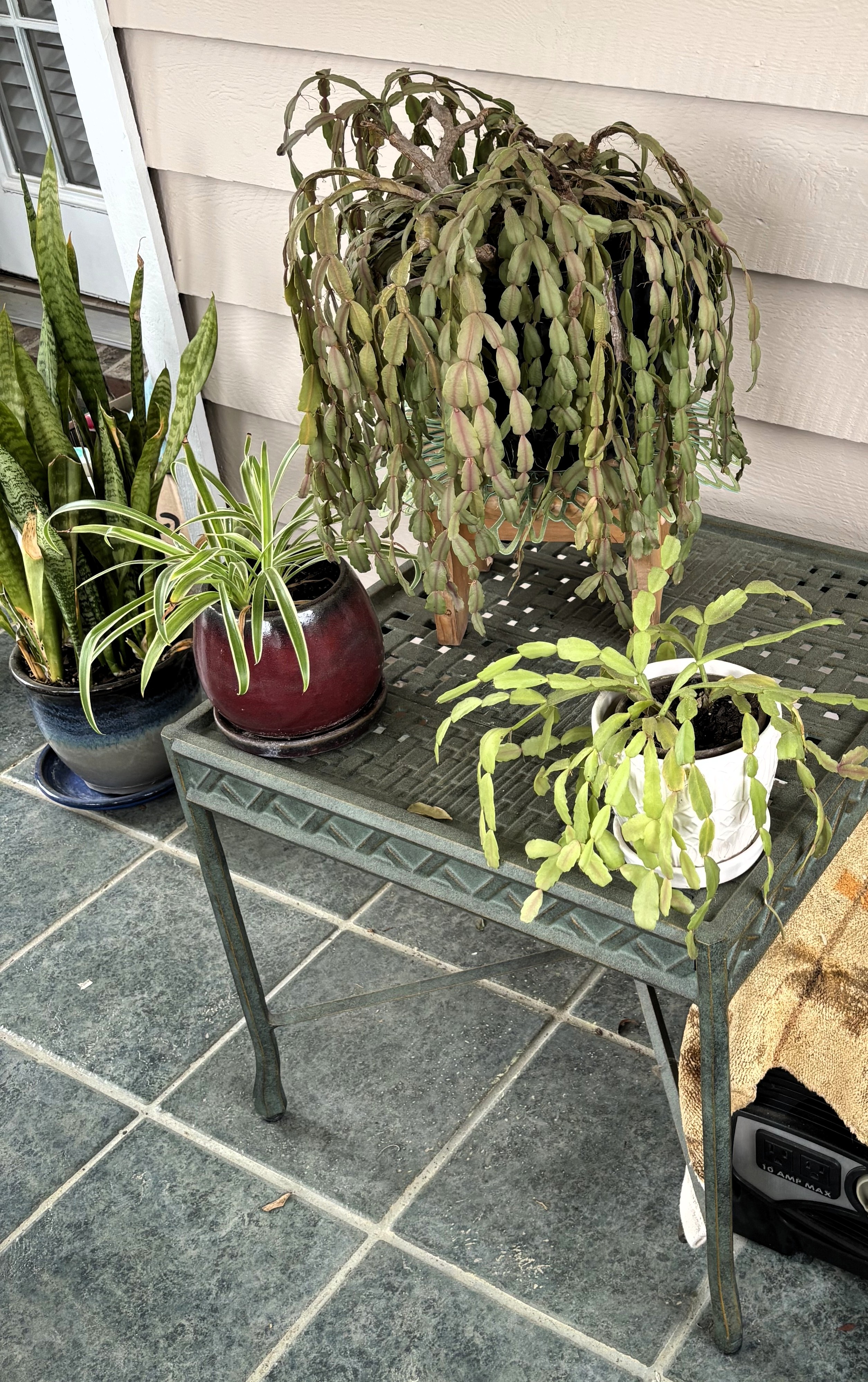 Wilmington Island Estate Sale